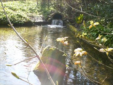 Millpond